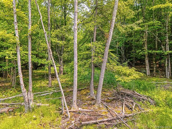 5th image of TBD Boulder Brook lot B14 Road