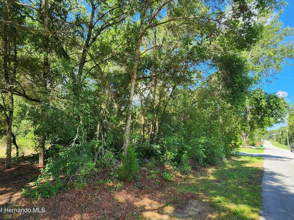 4104 E Scotty St, Inverness, FL 34453