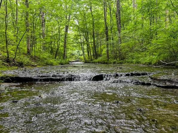 0 Catheys Creek Rd, Hampshire, TN 38461
