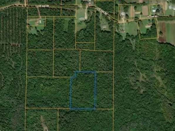 Nhn Will Roberts Rd, Angie, LA 70426