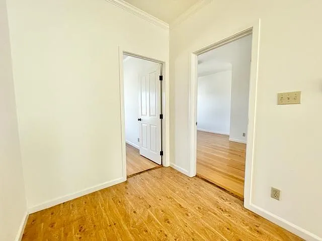 264 Whitney St #264 — Photo 14