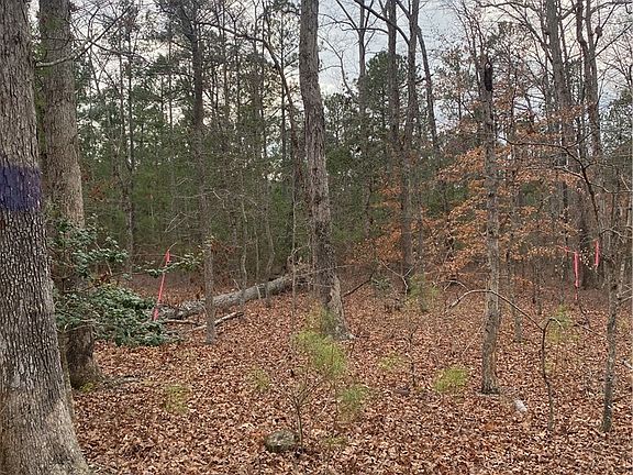 4th image of 0 Courtney Rd