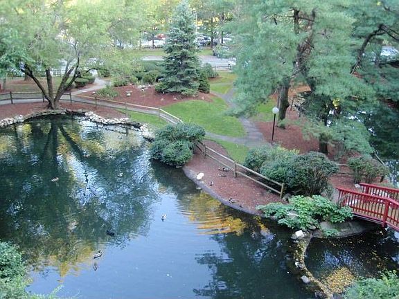 View from Balcony