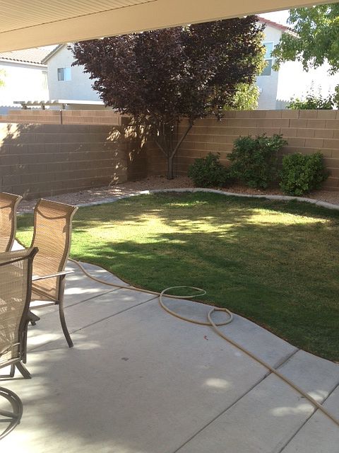 2nd image of 6355 Cactus Dahlia St