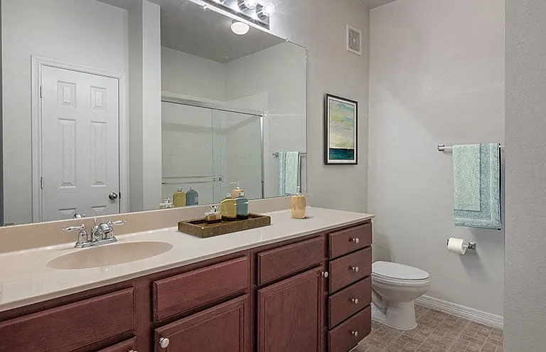 The Manor Homes of Arborwalk Apartments — Photo 28