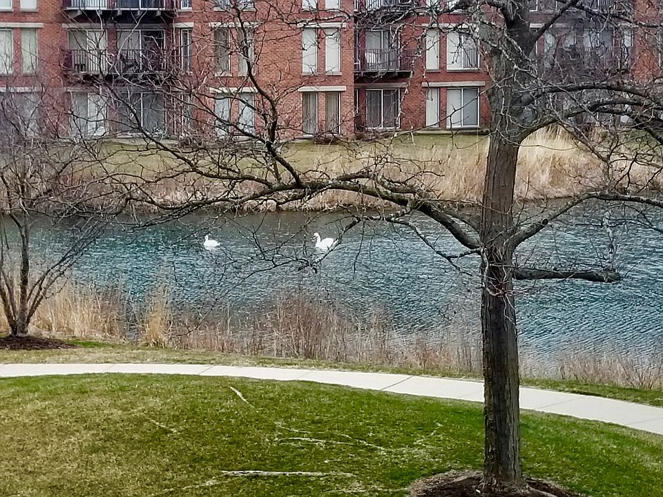 View from Living Room!