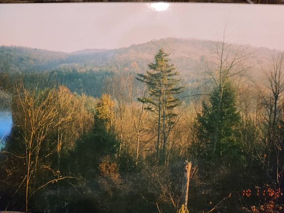3rd image of 1452 County Highway 125