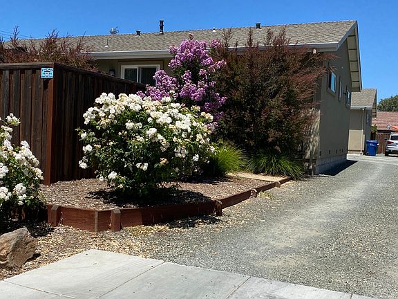 Side yard