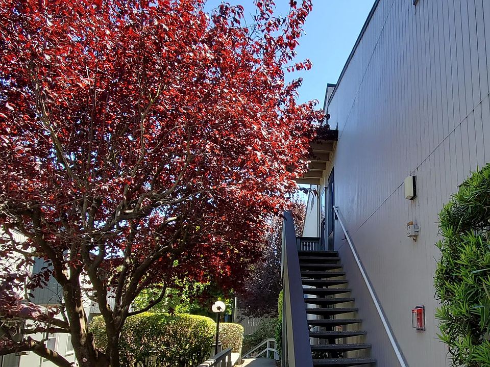 1st image of 229 Boardwalk Ave APT E
