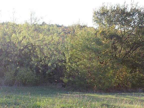 4th image of 2720 Whispering Oaks Cv