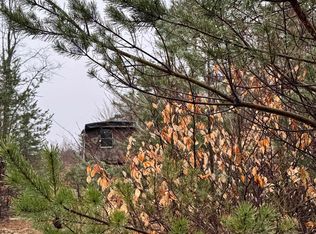 County Line Rd, Mancelona, MI 49659