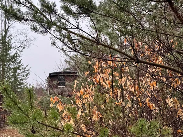 County Line Rd, Mancelona, MI 49659