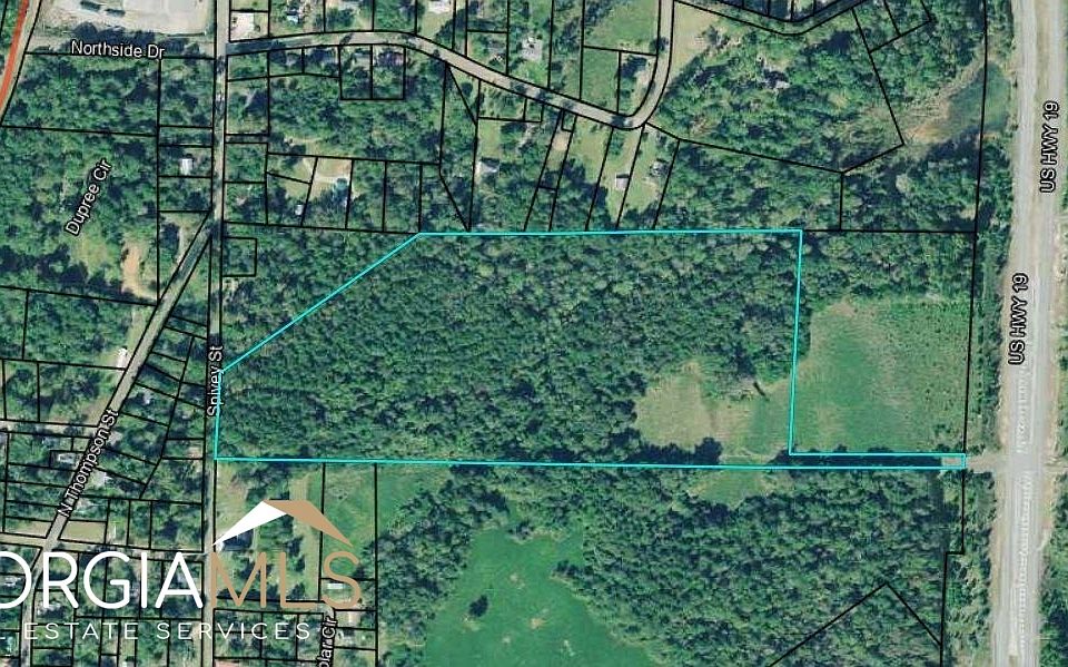 0 Spivey St, Ellaville, GA 31806 MLS 20126951 Zillow