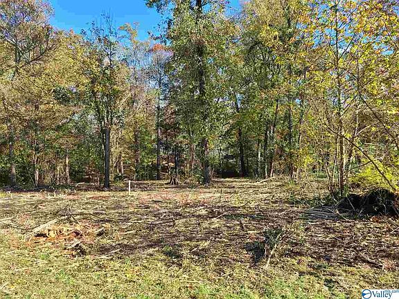 5th image of 2231 Lookout Mountain Dr