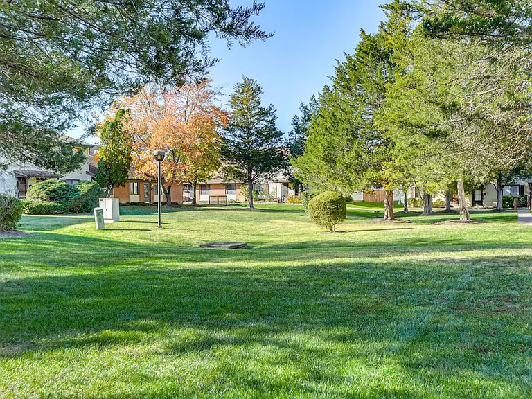 8404 Mina Loma Ct #ID1386147P — Photo 23
