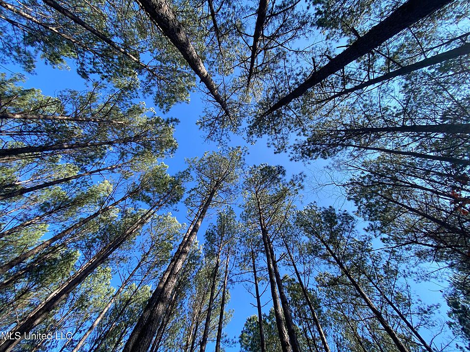 Lafayette Springs Rd, Thaxton, MS 38871 MLS 4068853 Zillow