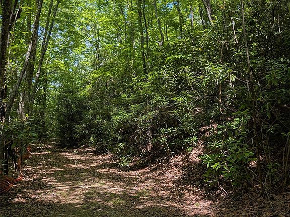 4th image of 0 Pisgah Hwy