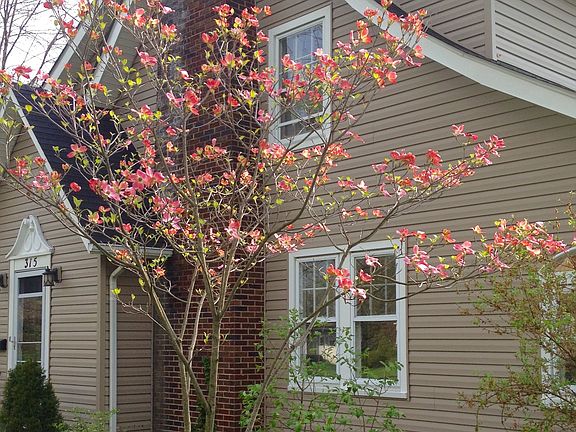 2nd image of 315 Crestwood Ave