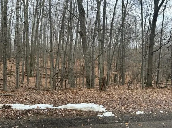 10219 Pueblo Ln, Stanwood, MI 49346