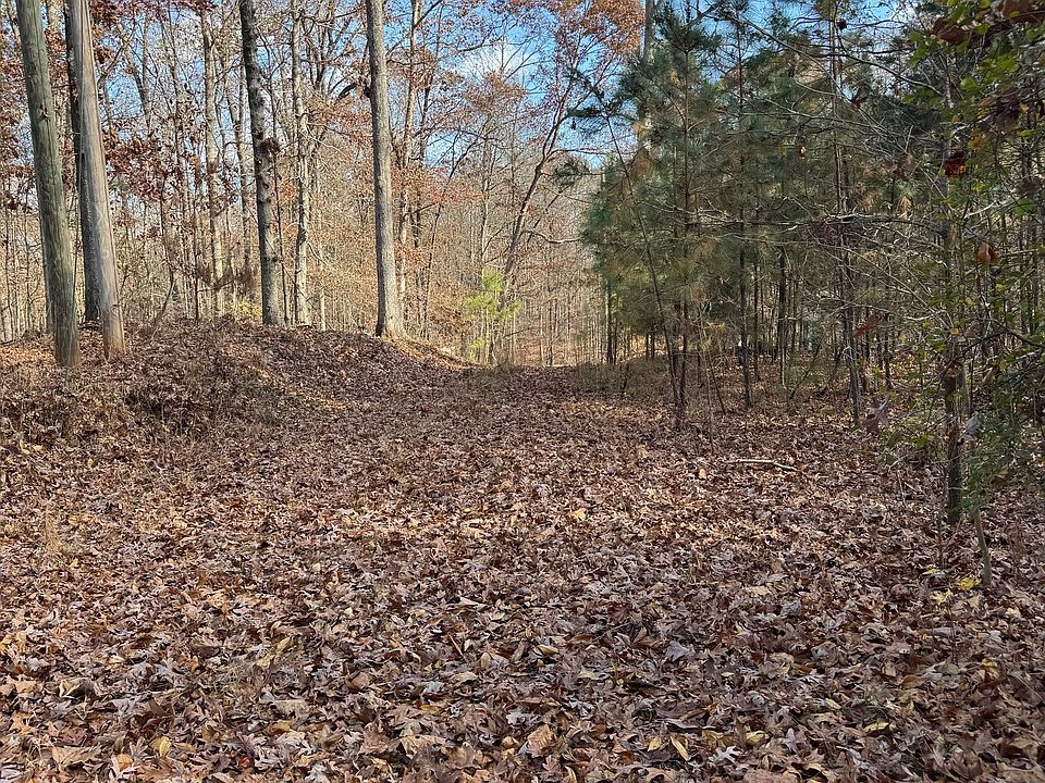 2nd image of 857 Laurel Ln