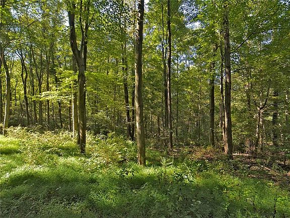 5th image of 4834 Treesdale Ct
