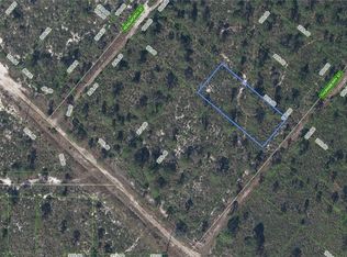 604 Thornberry St, Lake Placid, FL 33852