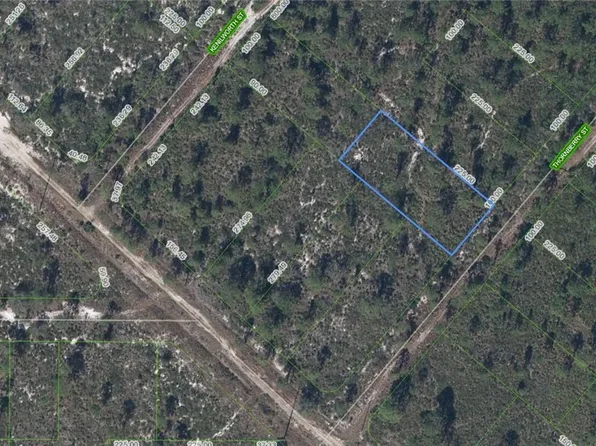 604 Thornberry St, Lake Placid, FL 33852