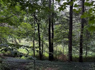 9577 Summit Rd #38, Cassville, NY 13318