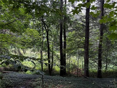 9577 Summit Rd #38, Cassville, NY, 13318