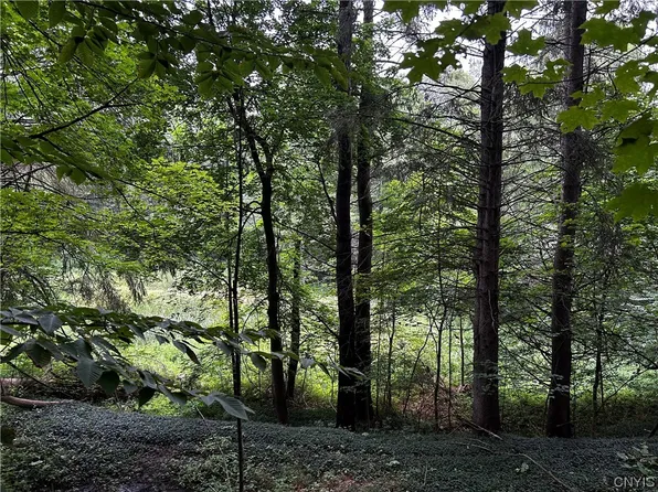 9577 Summit Rd #38, Cassville, NY 13318