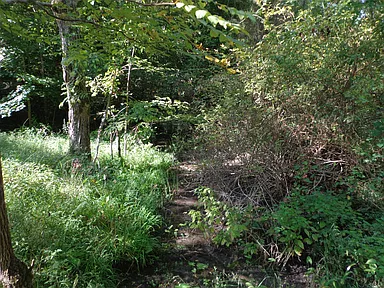 Property photo 32