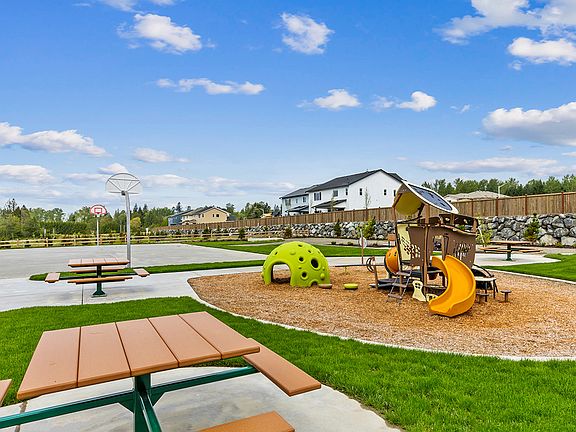 Basketball and Playground