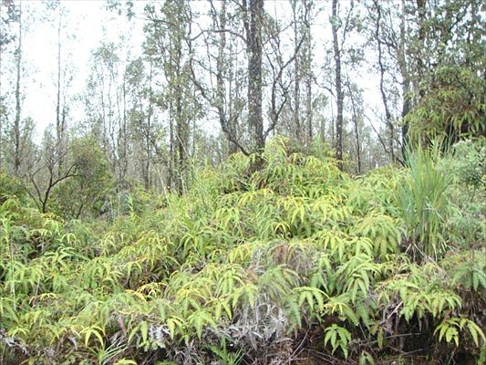 2nd image of Road 3 Hopue Lot 3146
