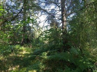 Shannon Lewis Ln, Winlock, WA 98596