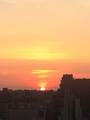 Rented by Owner | media 68