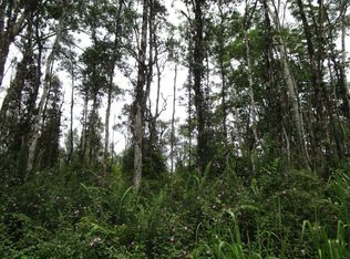 Hilo Rd LOT 742, Pahoa, HI 96778