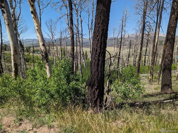 788 Duckworth Drive, Fort Garland, CO 81133