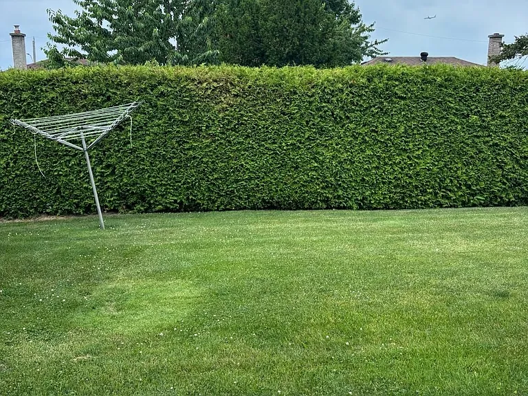 4 Weldon Ct — Photo 31
