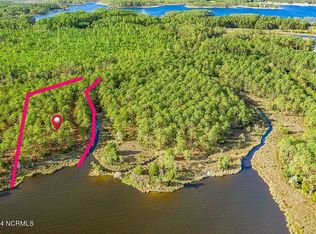 313 Peterson Creek Rd, Aurora, NC 27806