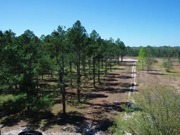 134 ACRES CRAWFORD Road, Hilliard, FL 32046