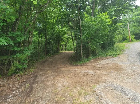 1460 Neddy Mountain Rd #Na, Del Rio, TN 37727