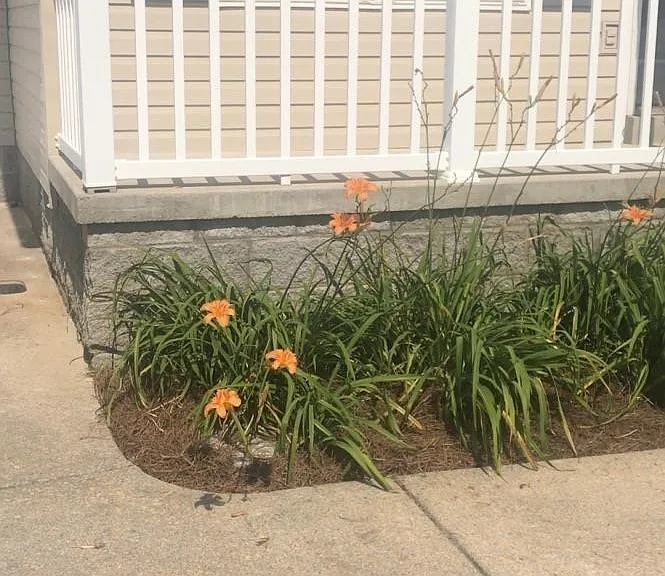 112 Bundy Ct — Photo 3