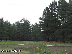 5th image of 2520 W Kiltie Ln