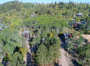 9 Lost Camp Trl, Lead, SD 57754