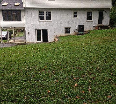 5th image of 524 Williamsdale Dr