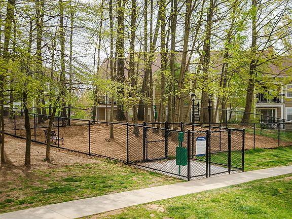 Leash-free Pet Park!