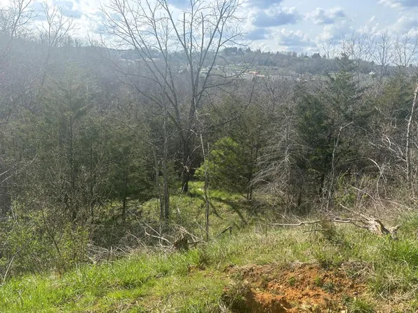 Point Dr, Pounding Mill, VA 24637