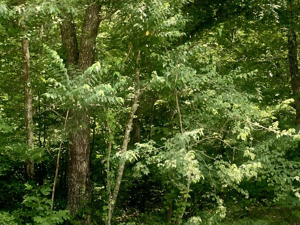 2nd image of 0 Old Natchez Trace Pkwy #8 & 7