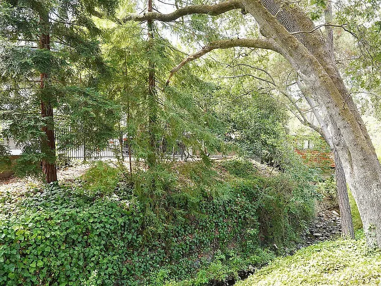 917 Hough Ave #5 — Photo 25