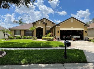 2217 Longmore Cir, Valrico, FL 33596